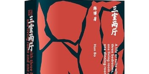 thumbnails An Afternoon with Surrealist Writer Han Bo