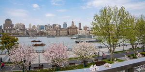 thumbnails RAS Spring Social and Journal Launch